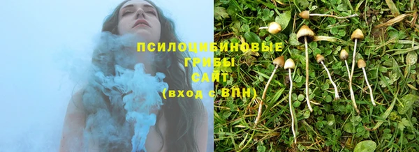СК Абдулино