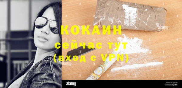 дживик Абинск