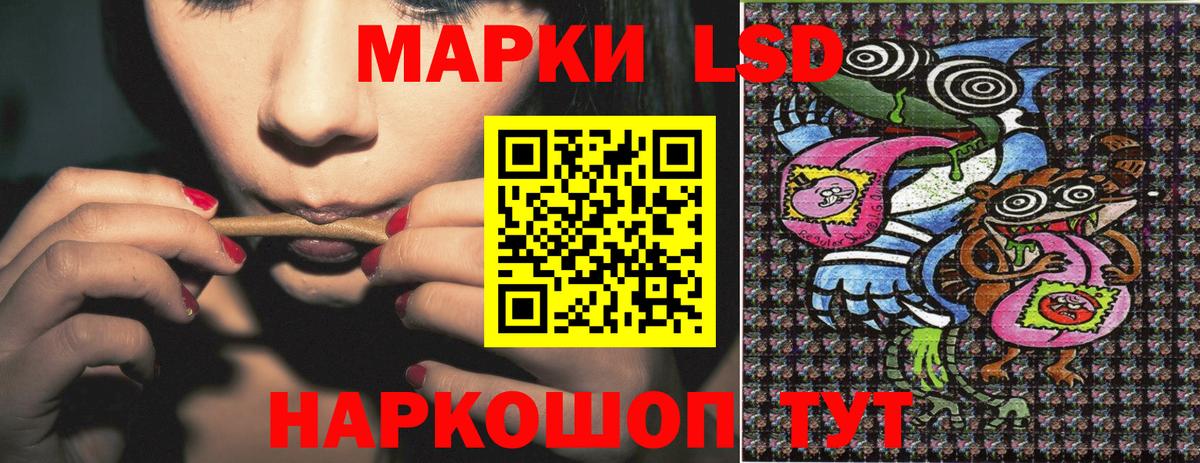 Сокол  где купить наркотик  Вход с VPN  Марки 25I-NBOMe 1,5мг 
