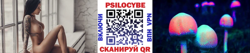Псилоцибиновые грибы Psilocybe  Сокол 