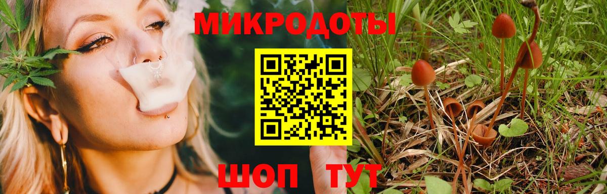 Псилоцибиновые грибы мухоморы  Вход с VPN  Галлюциногенные грибы Psilocybine cubensis  Сокол 