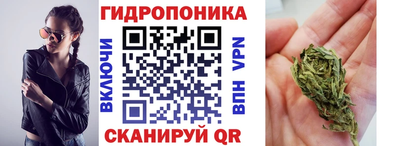 кракен сайт  Сокол  Канабис OG Kush  купить  сайты 
